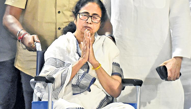 గాయపడితే శివంగే!