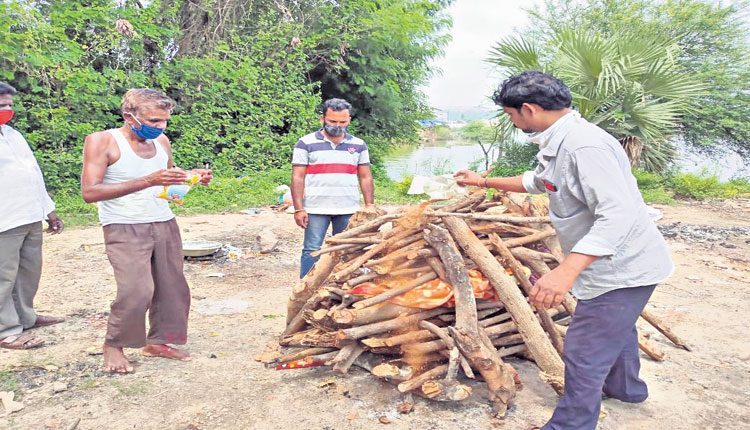 సేవల్లో రాజు