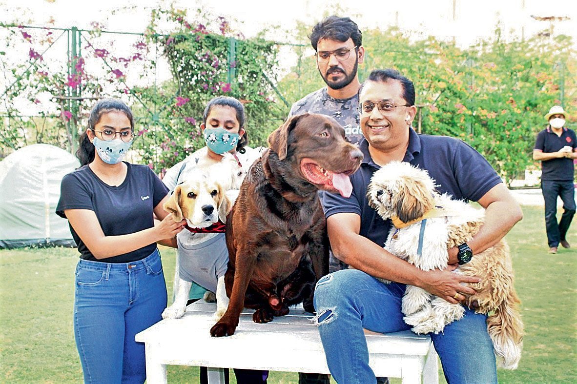 జంతు ప్రేమికుల కోసం… ‘పా వాక్‌’