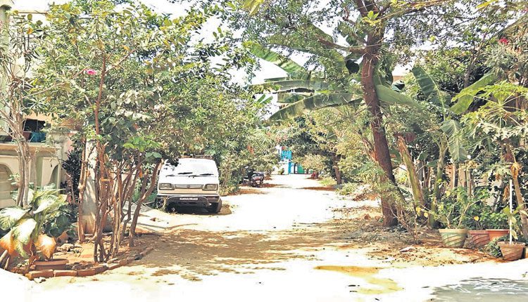 ప్రతి ఇంట్లో సేద్యం