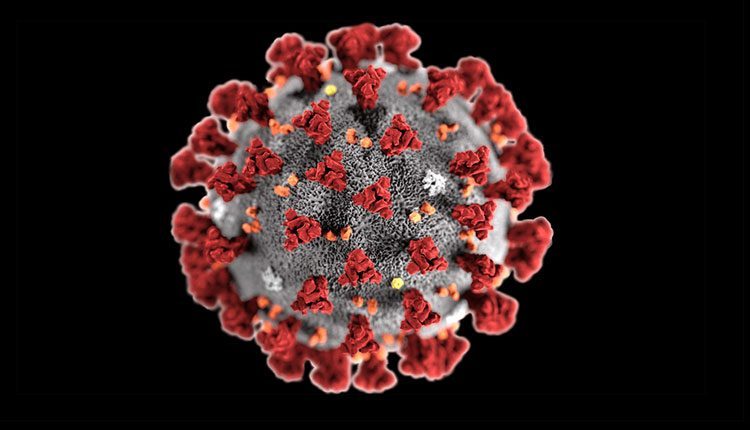 COVID-19 | కరోనా కేసులపై సర్కారు దాపరికం.. రెండ్రోజులకోసారి బులెటిన్‌ విడుదలచేయాలని నిర్ణయం!