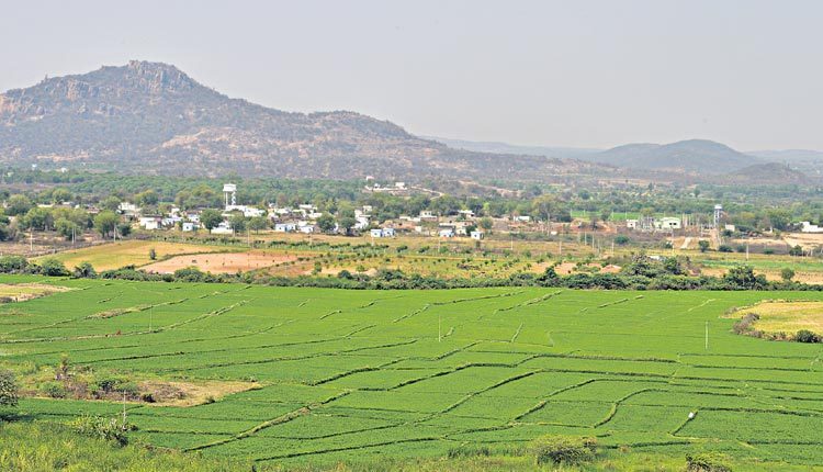 సకాలంలోనే సాగు..