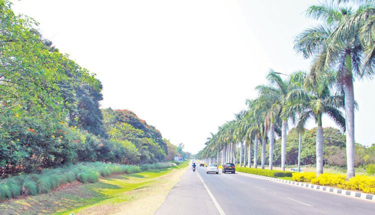 పచ్చందనమే.. పచ్చదనమే..