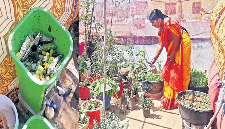 ఆహార వ్యర్థాలతో.. ఆరోగ్య ఫలాలు