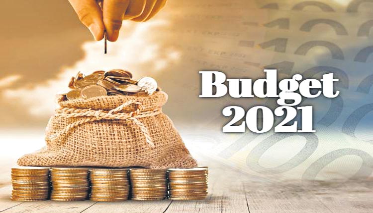 ఆశలు తీర్చే బడ్జెట్‌!