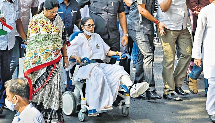 నేను దెబ్బతిన్న పులిని