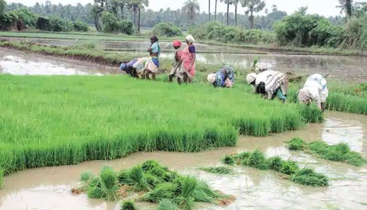 త్వ‌ర‌లోనే రైతుల రుణాలు మాఫీ.. రూ. 5,225 కోట్లు కేటాయింపు