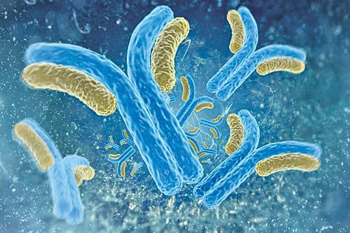 వ్యాధి తీవ్రతను బట్టే.. యాంటీబాడీలు