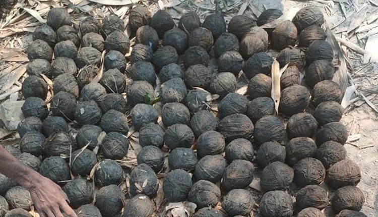 పశ్చిమ బెంగాల్లో‌ భారీగా నాటుబాంబులు స్వాధీనం