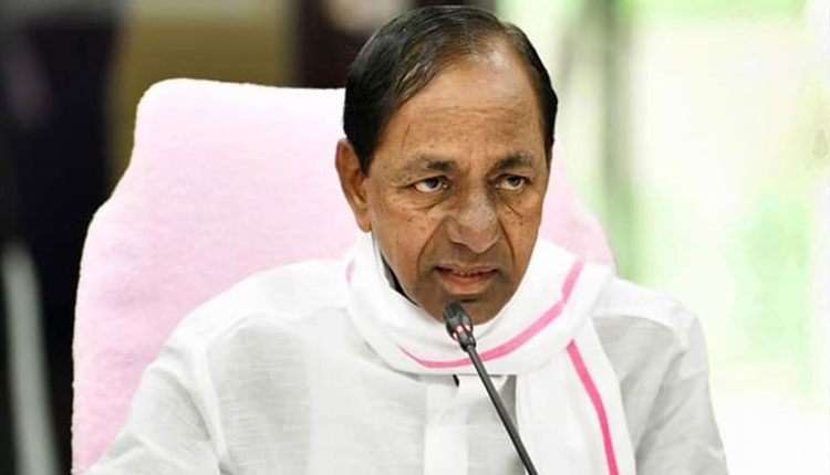 ప్రపంచ అటవీ దినోత్సవం : శుభాకాంక్షలు తెలిపిన సీఎం కేసీఆర్‌