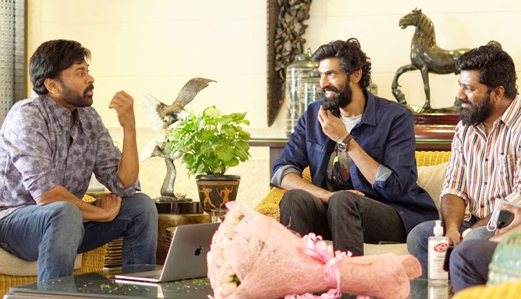 ఎరుపురంగు సీతాకోకచిలక