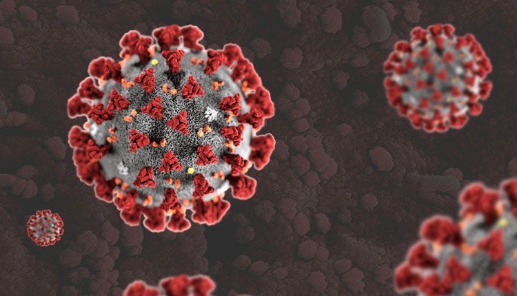 ఏపీలో కొత్తగా 147 మందికి కరోనా