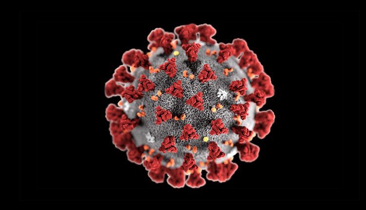 బ్రెజిల్‌లో కరోనా మరణ మృదంగం.. ఒకే రోజు 3,251 మంది బలి