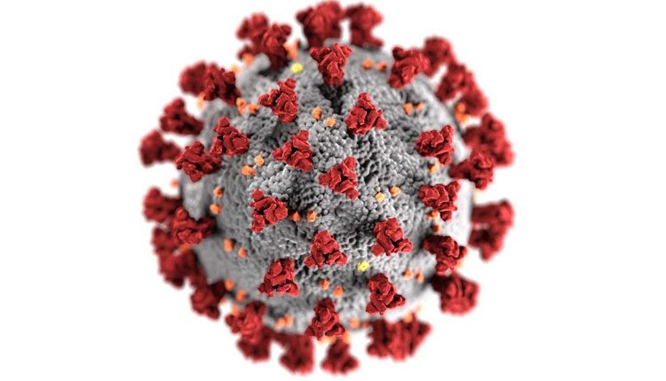 ఏపీలో కొత్తగా 120 కరోనా కేసులు