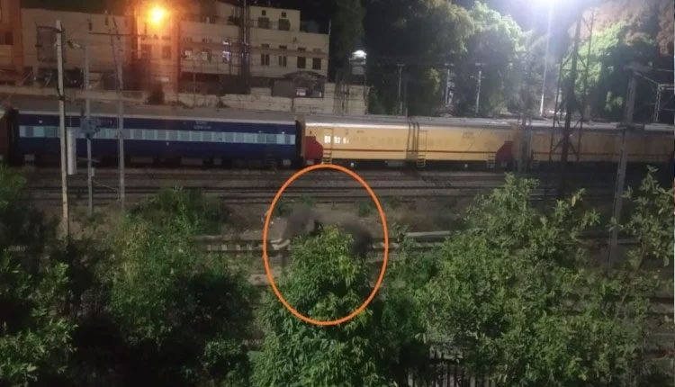 రైల్వే ప్లాట్ఫాంపై ఏనుగు.. పరుగులు తీసిన ప్రయాణికులు