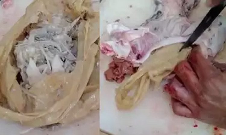 చేప క‌డుపులో 10 కిలోల ప్లాస్టిక్ బ్యాగ్‌