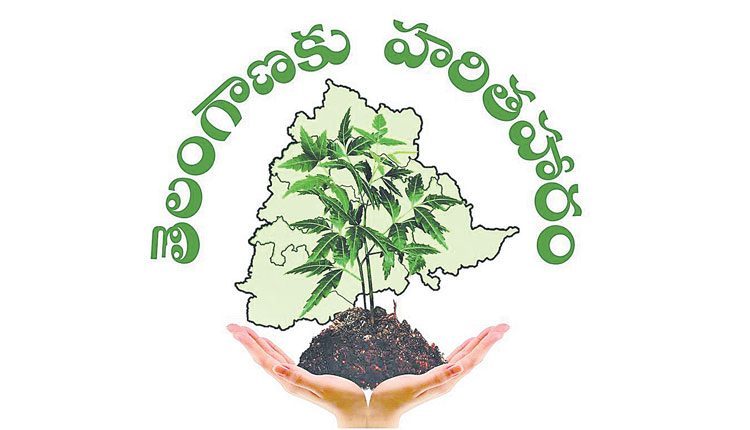 పచ్చని కాలమొచ్చింది!