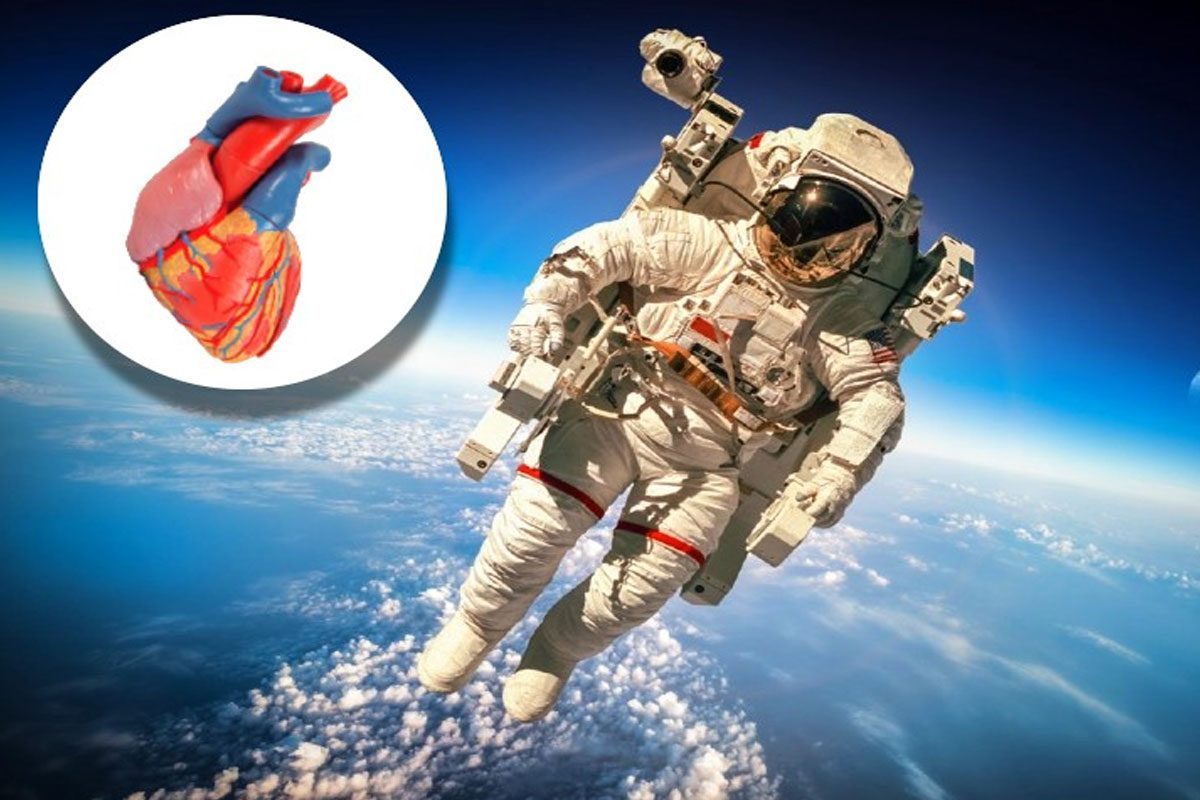 ఎక్కువ రోజులు అంతరిక్షంలో ఉండేవారికి కుచించుకుపోనున్న గుండె.. వ్యోమగాములపై పరిశోధన