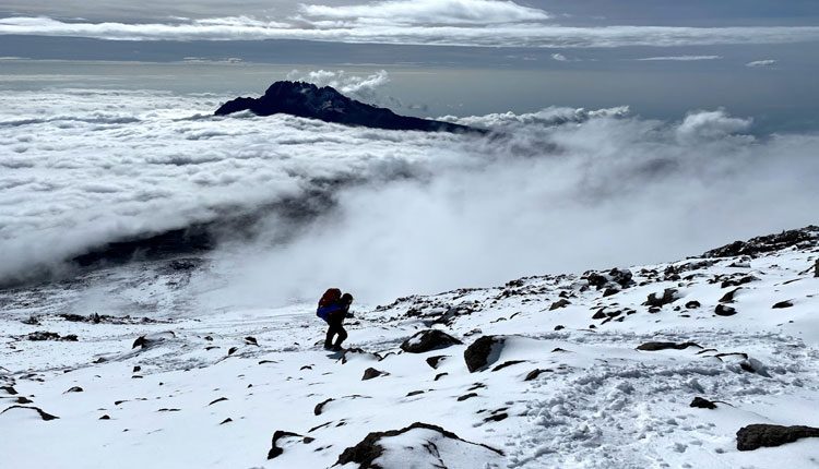 సాహసమే.. శ్వాసగా.. కిలిమంజారో ఎక్కేస్తున్నారు..