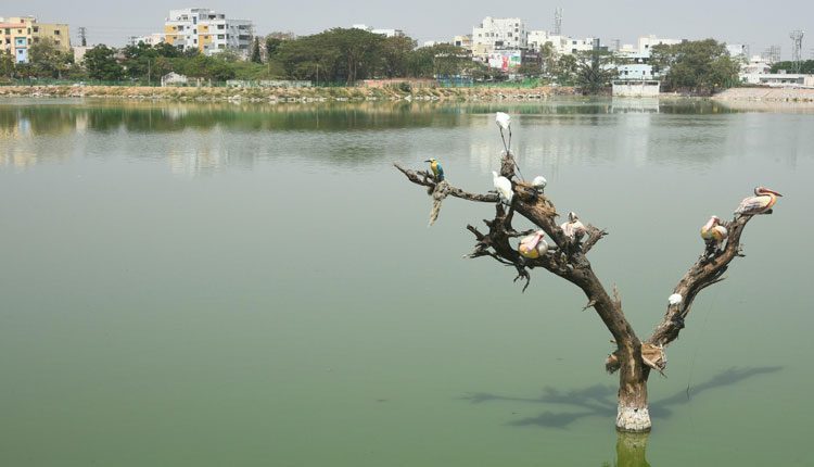 ముంపు బాధలు ముగించేలా
