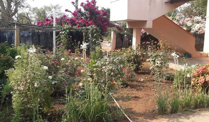 ఆ ఇల్లు..నందనవనం!