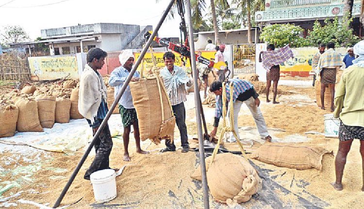 పకడ్బందీగా ధాన్యం కొనుగోళ్లు
