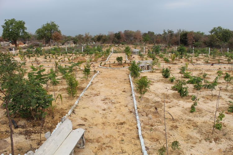 గోర్గల్‌లో ప్రగతి వెలుగులు