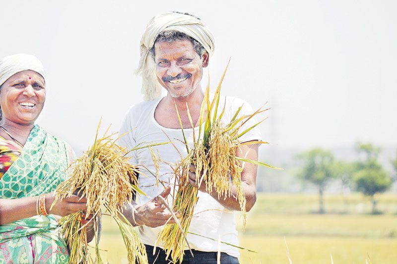 ఊర్లోనే కాంటా