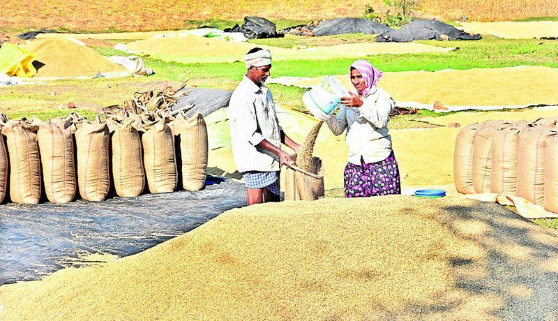 రైతులకు రంది లేకుంట