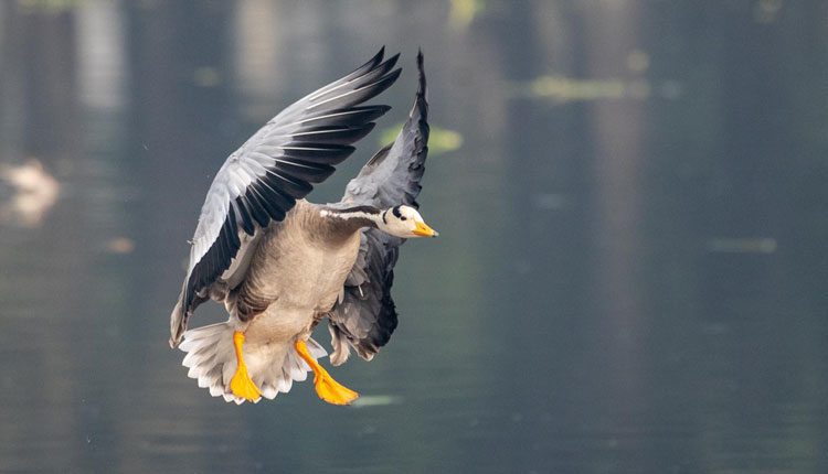 బై బై తెలంగాణ.. మళ్లీ వస్తాం..