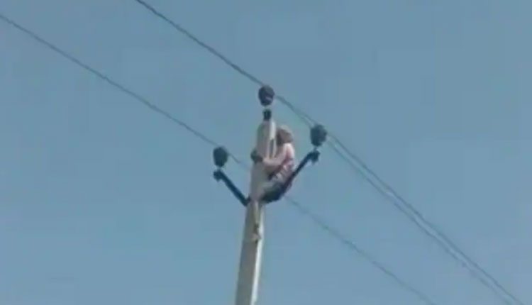 రెండో పెండ్లికి కుటుంబం అభ్యంతరం.. విద్యుత్‌ స్తంభం ఎక్కిన వృద్ధుడు