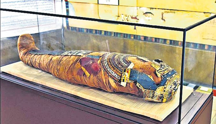 మనకూ ఉందో మమ్మీ