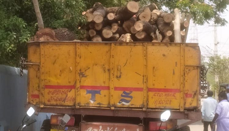 కలప అక్రమ లారీ పట్టివేత