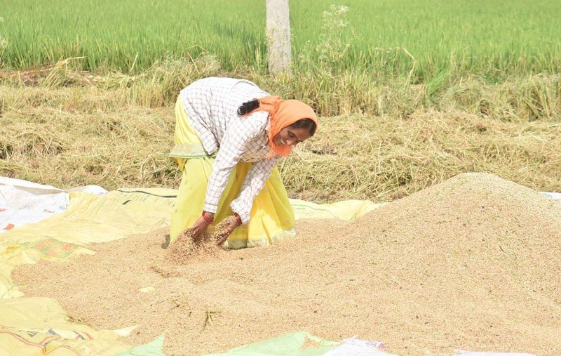 రంది లేదిక