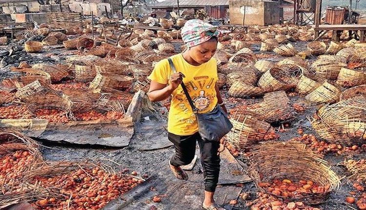 గంపెడు టమాటల కోసం ఘర్షణ.. 20 మంది మృతి..!