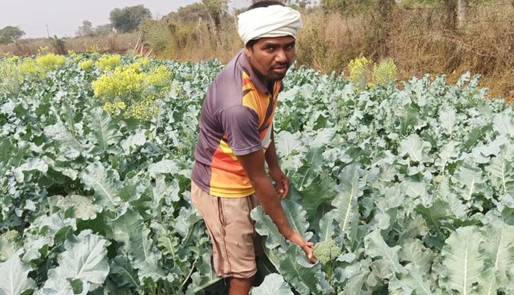 ఎంటెక్‌ రైతు.. వినూత్న పంటలు!