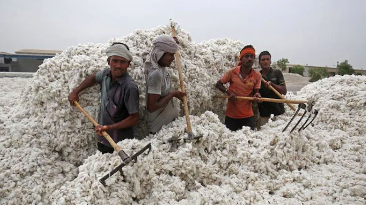భారత్‌ నుంచి పత్తి, చక్కెర దిగుమతికి పాకిస్తాన్‌ ఆమోదం