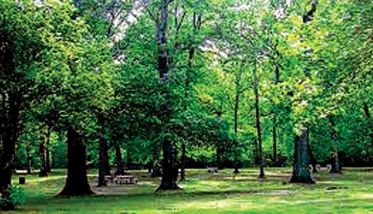 క‌రోనా ఎఫెక్ట్: అక్క‌డ రేప‌ట్నుంచి పార్కులు, గార్డెన్‌లు క్లోజ్