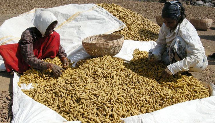 పసుపు బోర్డు పెట్టేది లేదు