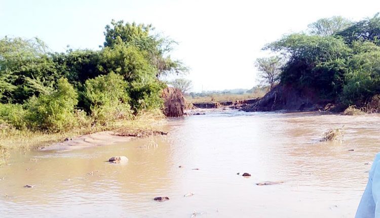 చెరువుకట్టను పునరుద్ధరించండి