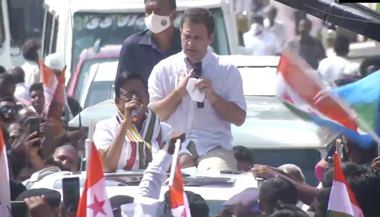 కేంద్రానికి త‌మిళ సంస్కృతిపై గౌర‌వం లేదు: ‌రాహుల్‌గాంధీ