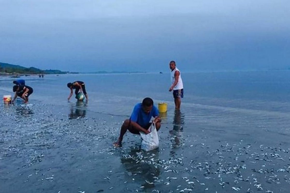 రామేశ్వరం మత్స్యకారుల సంచలన నిర్ణయం