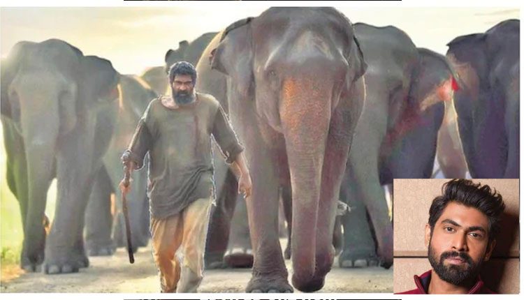 థాయ్‌లాండ్ ఫారెస్ట్‌లో 15 రోజులున్నా: రానా