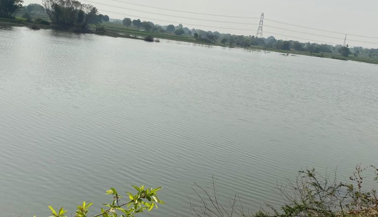 ‘గోదావరి’ పరవళ్లు