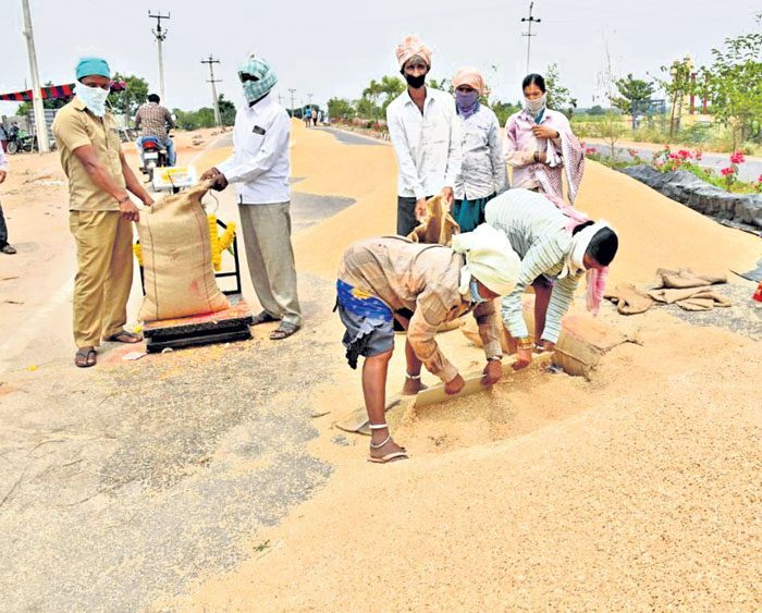 రైతు ముంగిట.. ధాన్యం కాంటా