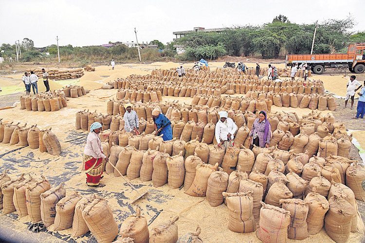రైతు ముంగిట ధాన్యం కాంటా