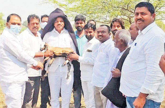 నిరుపేదలకు జీవనోపాధి కల్పిస్తాం