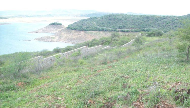 భాగ్యనగరానికి మహా జీవధార