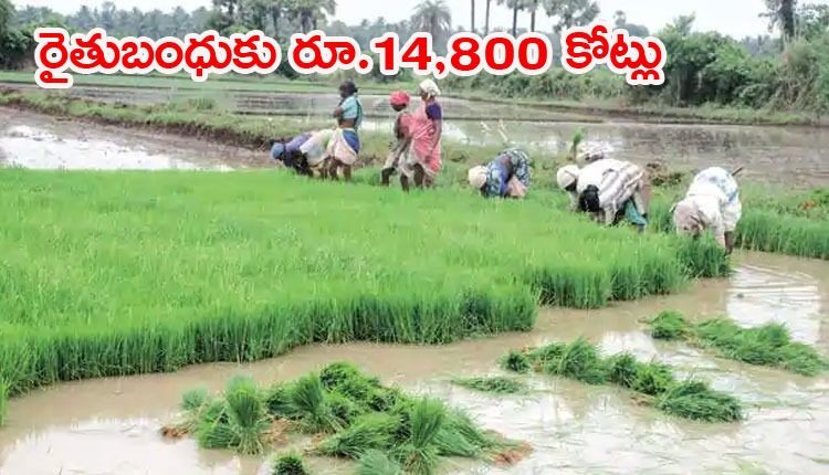 వ్య‌వ‌సాయ రంగానికి పెద్ద‌పీట‌.. రూ. 25 వేల కోట్లు కేటాయింపు