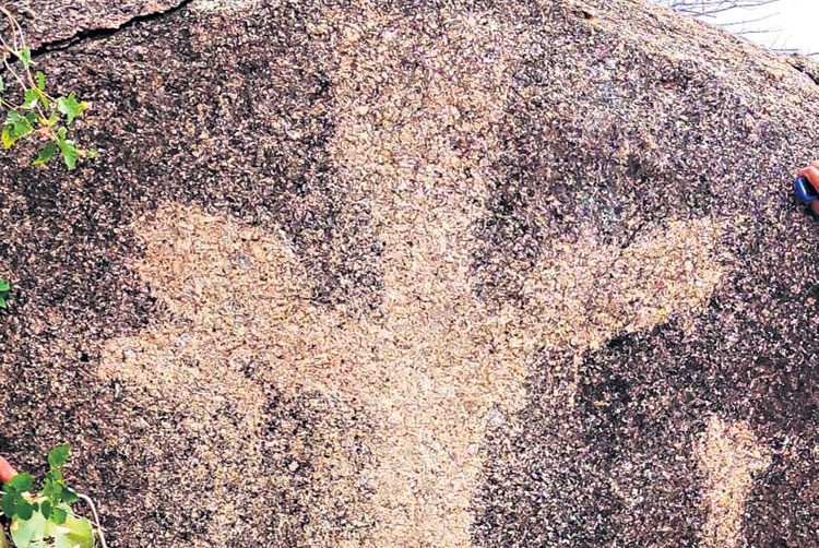 తంగెడపల్లిలో ప్రాచీన సమాధుల ఆనవాళ్లు